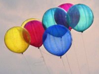 Baloons Budgerts That Worl